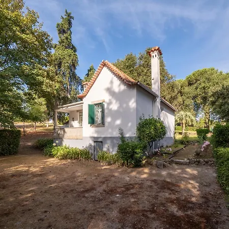 Urgeirica 4* 넬라스