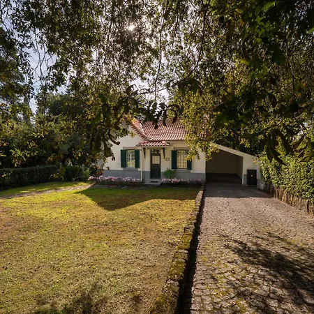 Urgeirica 호텔 넬라스